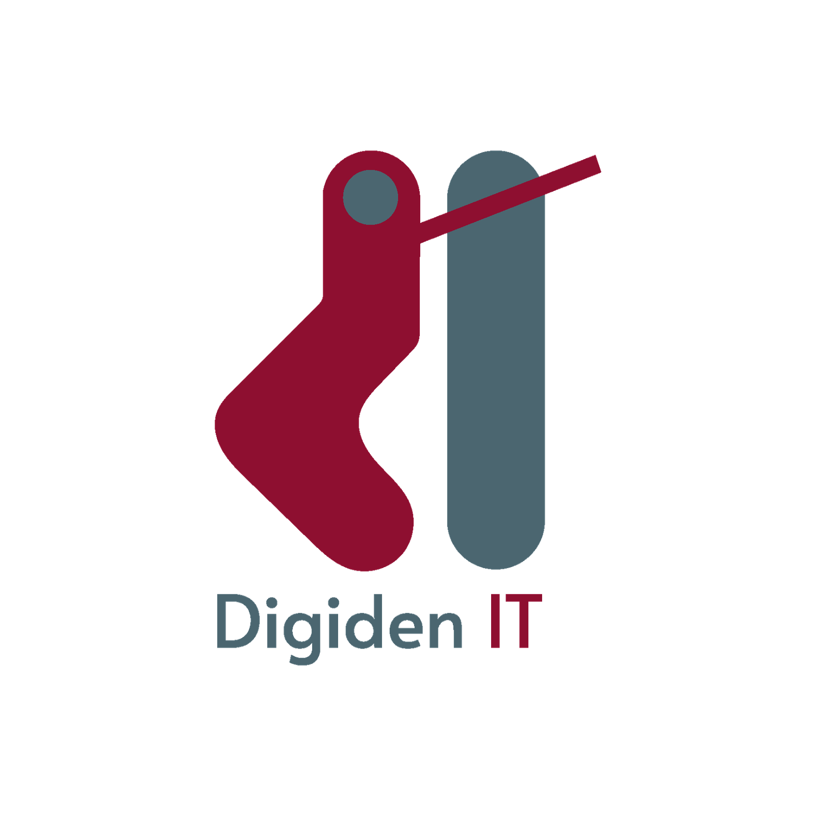 digidenit.com